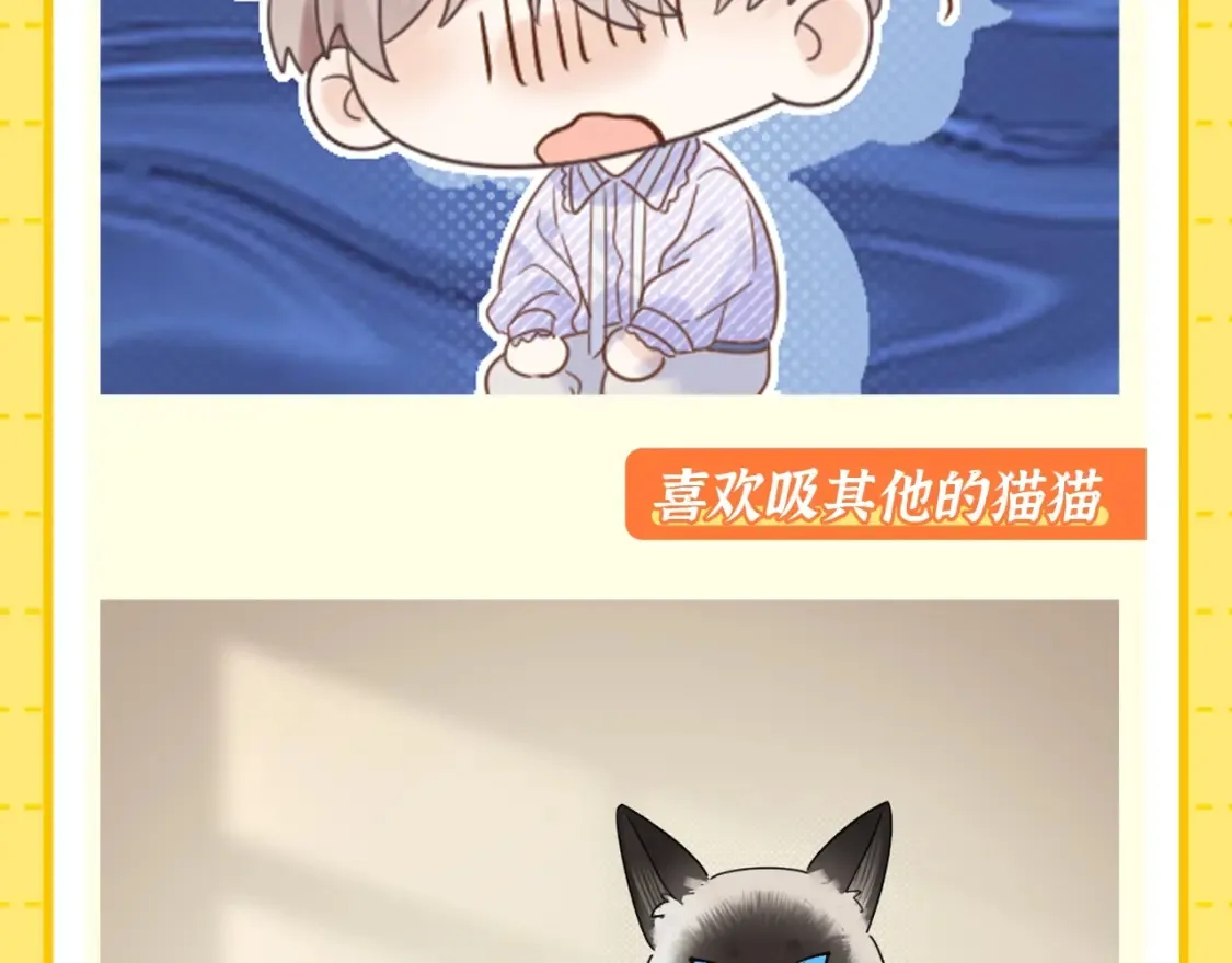 严禁造谣全文阅读漫画,第1期 特别企划：当他变成猫猫后2图