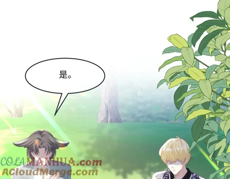 疯批公主她杀疯了众卿修罗场免费漫画,24 你好啊，斐西哥哥1图
