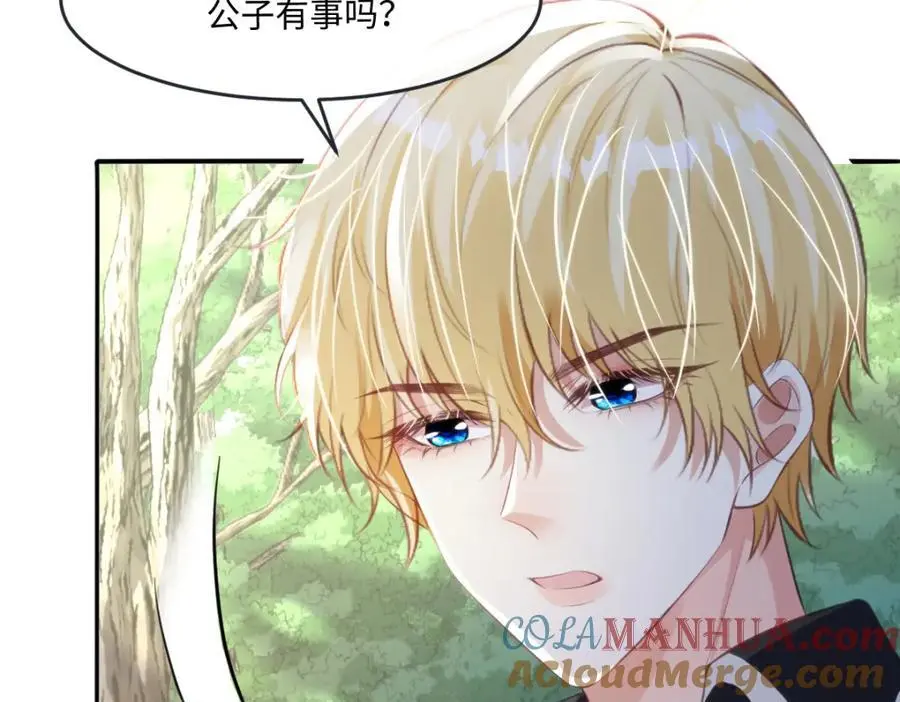 疯批公主她杀疯了众卿修罗场免费漫画,24 你好啊，斐西哥哥2图