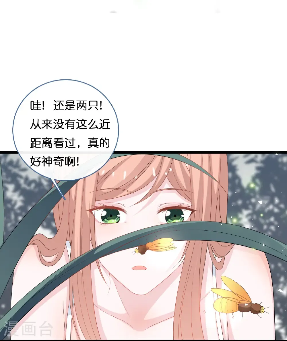 总裁爹地追上门漫画,第271话 满是回忆1图