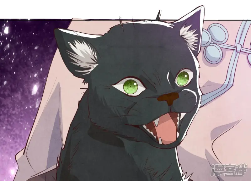 少帅每天都在吃醋2:少帅是醋精漫画,第18话 野猫1图