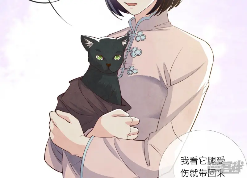 少帅每天都在吃醋2:少帅是醋精漫画,第18话 野猫1图