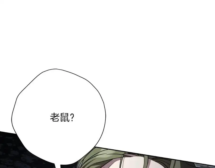 阿塔斯特巅峰数据漫画,第38话 归来1图