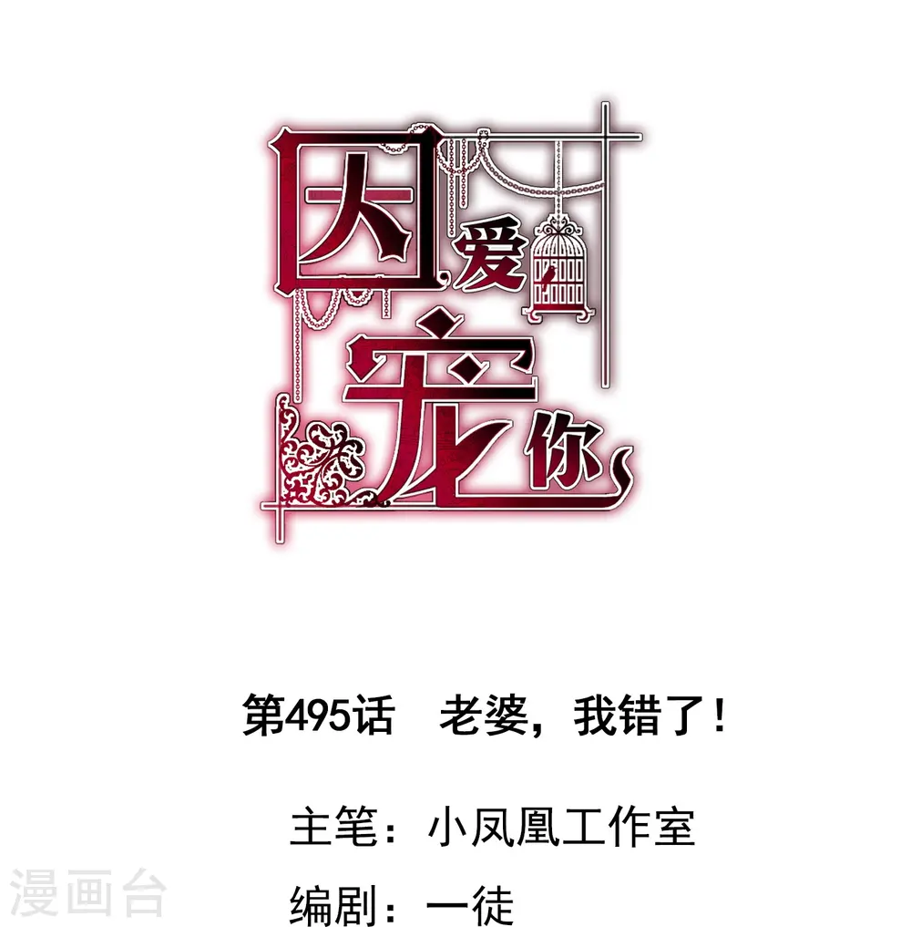 因爱宠你漫画,第495话1图