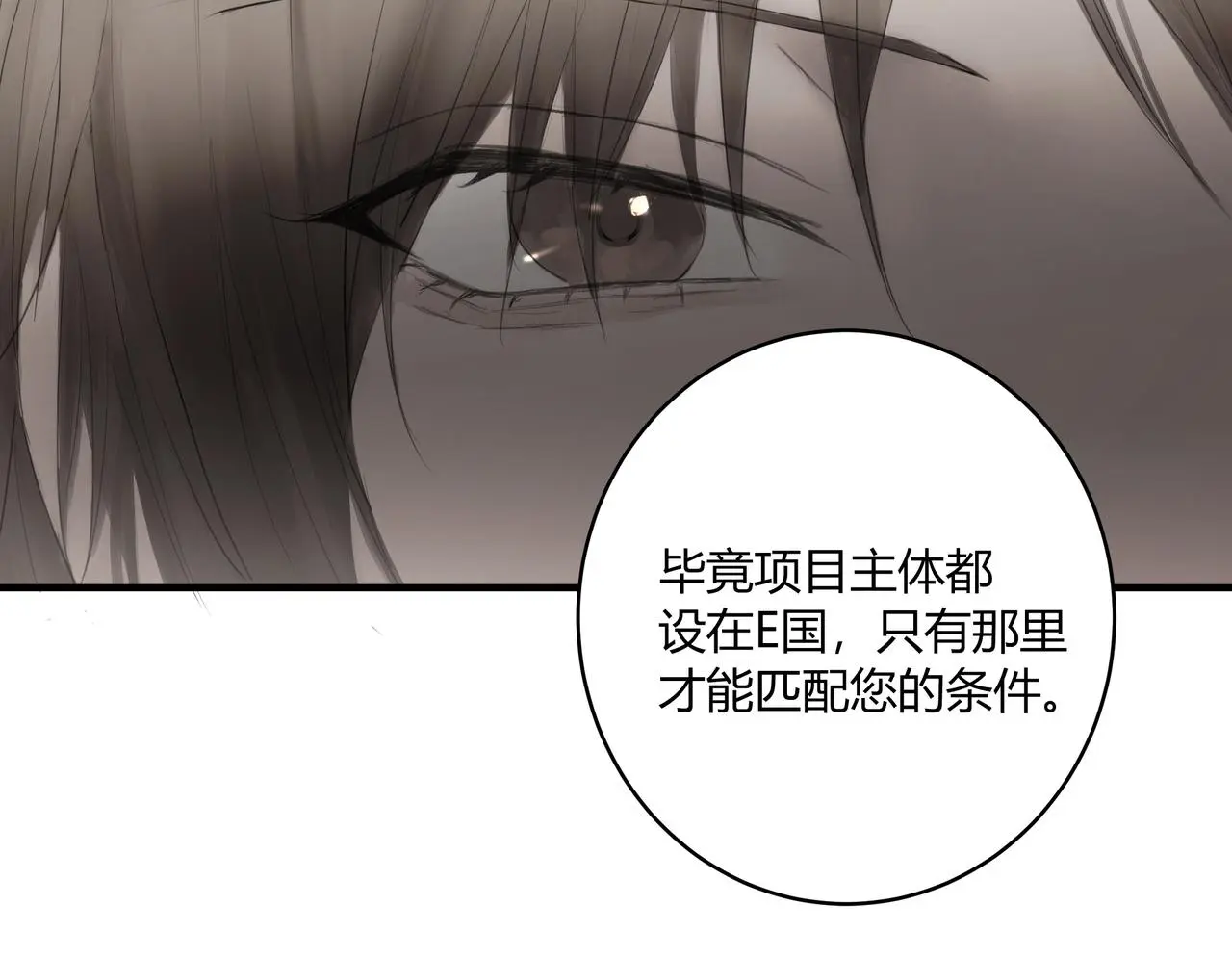欺诈之徒的意思漫画,面试11图