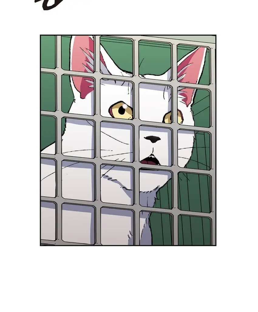 绝对所有漫画,51 她本来是属于我的1图