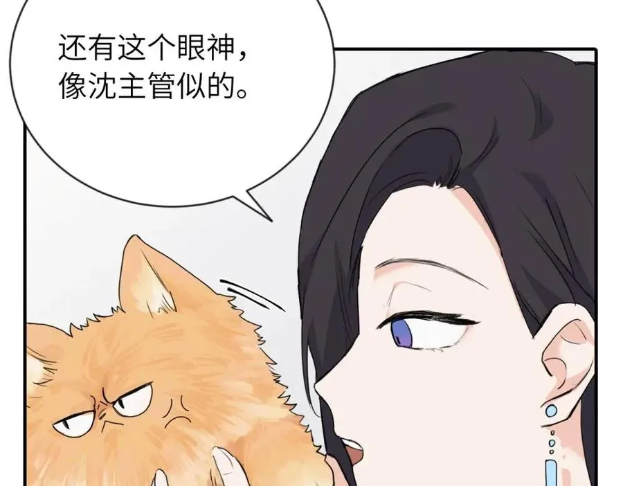 亲爱的死对头漫画,第四话 反正也没说1图