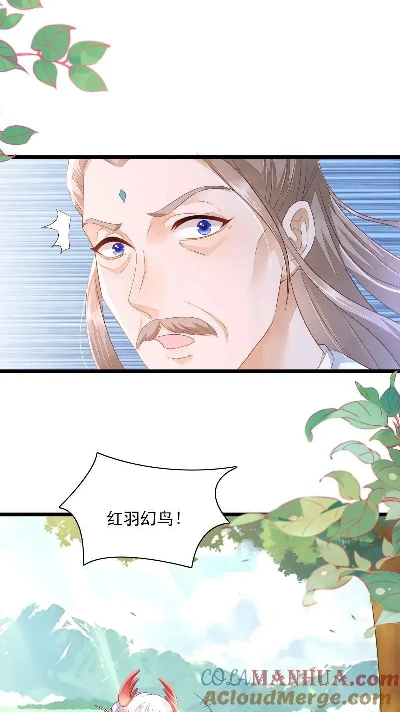论反派摆烂的一百零八种方式漫画,第5话 这破鸟想当我主人1图