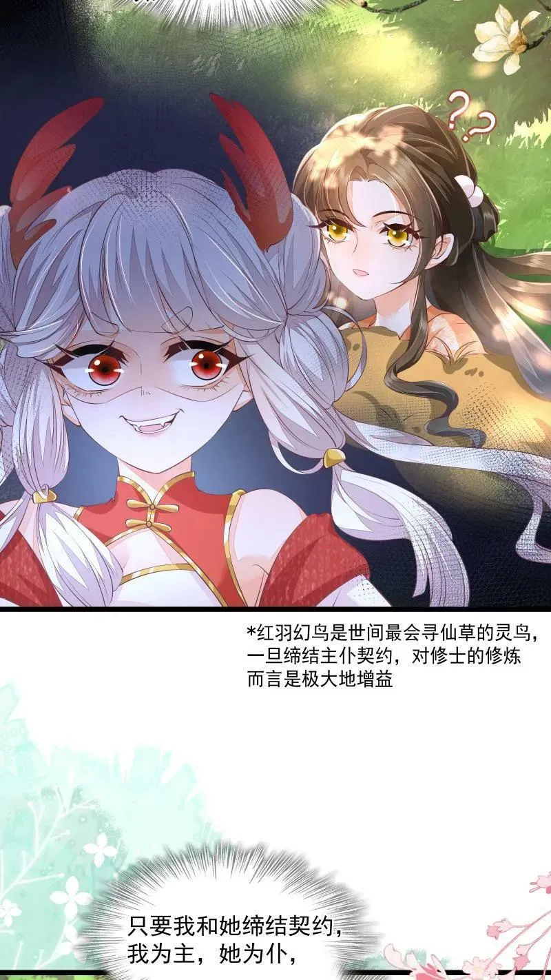 论反派摆烂的一百零八种方式漫画,第5话 这破鸟想当我主人2图