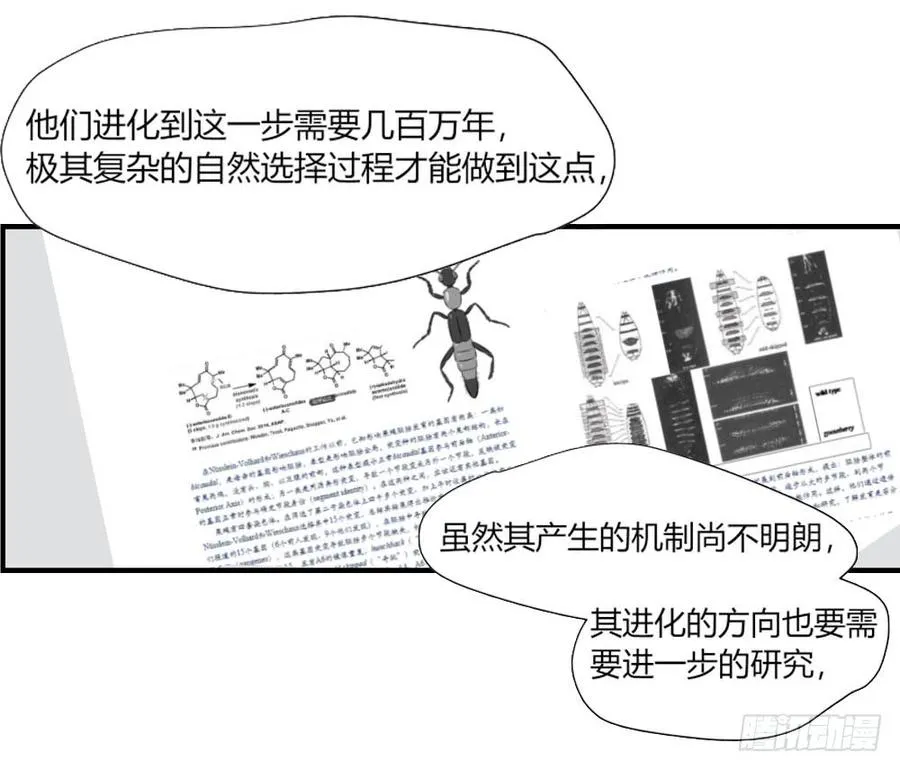 适应湖南种植的药材漫画,你什么也不懂1图