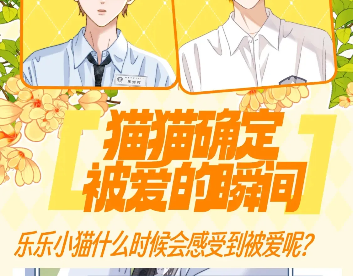 可爱过敏原未删减在线阅读笔趣阁漫画,第66期 搞点事：猫猫确定被爱的瞬间2图