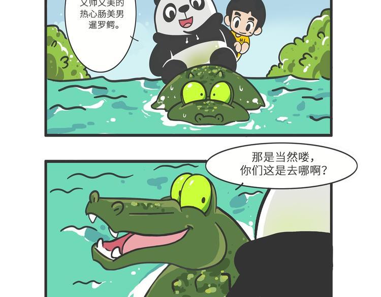 熊猫君解说四人对决漫画,明日之星“达米尔”2图