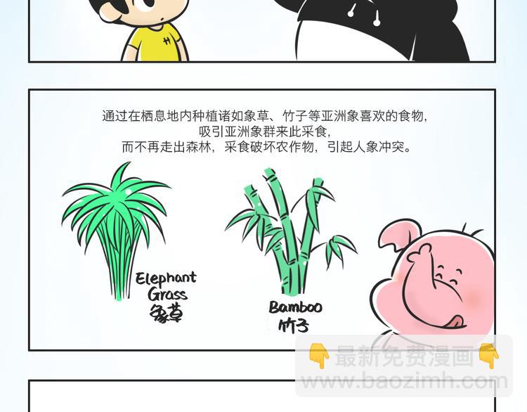 熊猫君和黄逗菌可持续生活志第二季漫画,什么是大象食堂？2图