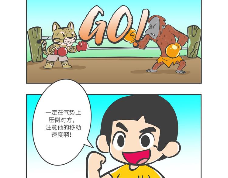 熊猫君视频合集漫画,“强者对决”云豹沙普拉2图