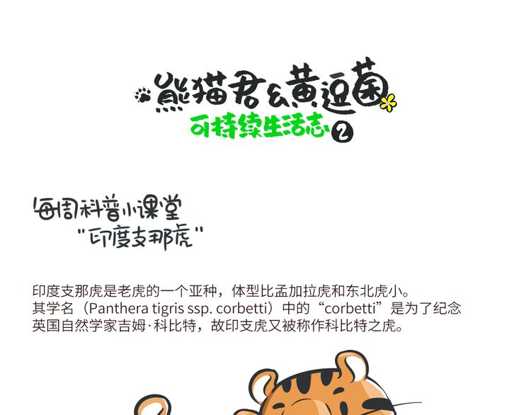 熊猫君视频全集漫画,科普番外——印度支那虎1图