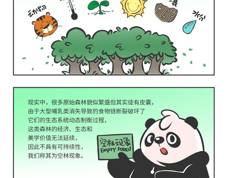 熊猫君和黄逗菌可持续生活志第二季漫画,科普番外——健康的森林2图