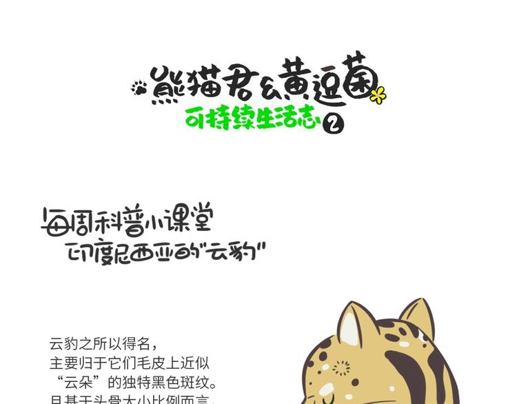 熊猫君和黄逗菌可持续生活志第二季漫画,科普番外——印度尼西亚“云豹”1图