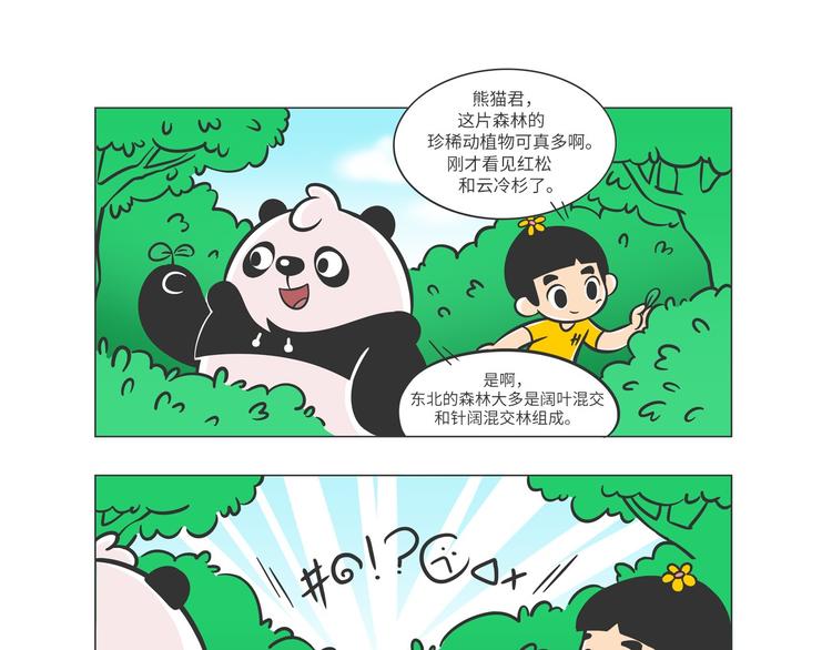 熊猫君和黄逗菌可持续生活志第二季漫画,森林之王“虎威威”2图