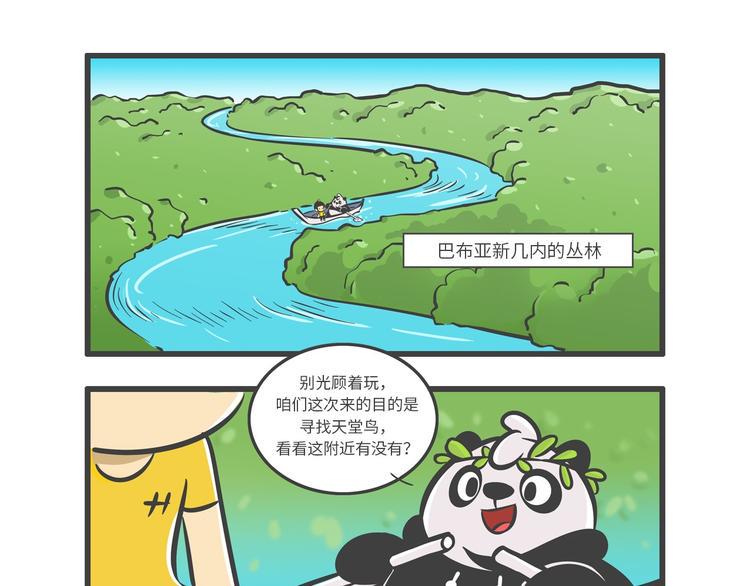 熊猫君和红领巾的复盘漫画,“武林高手”天堂鸟2图