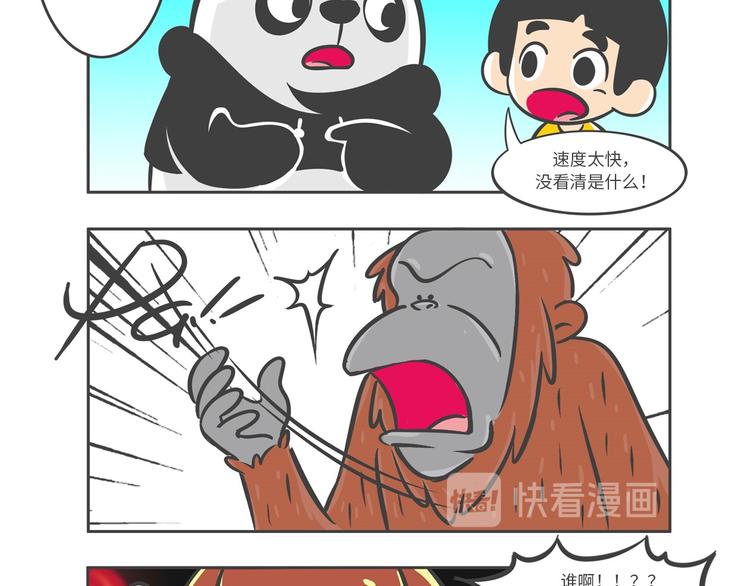 熊猫君视频合集漫画,“强者对决”云豹沙普拉1图