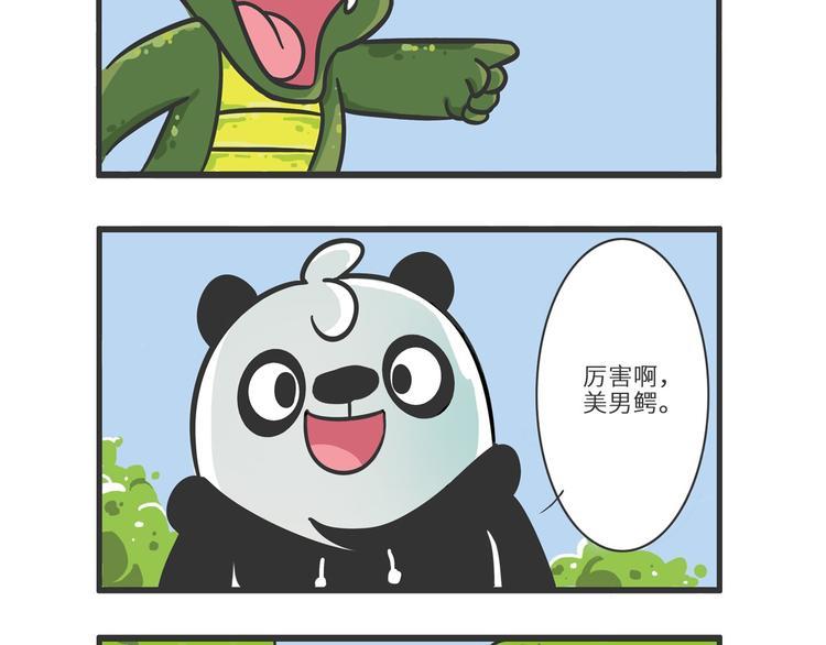 熊猫君解说四人对决漫画,明日之星“达米尔”1图