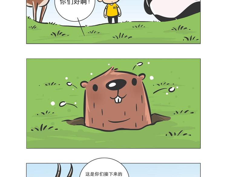 熊猫君录播漫画,小壕房多多1图