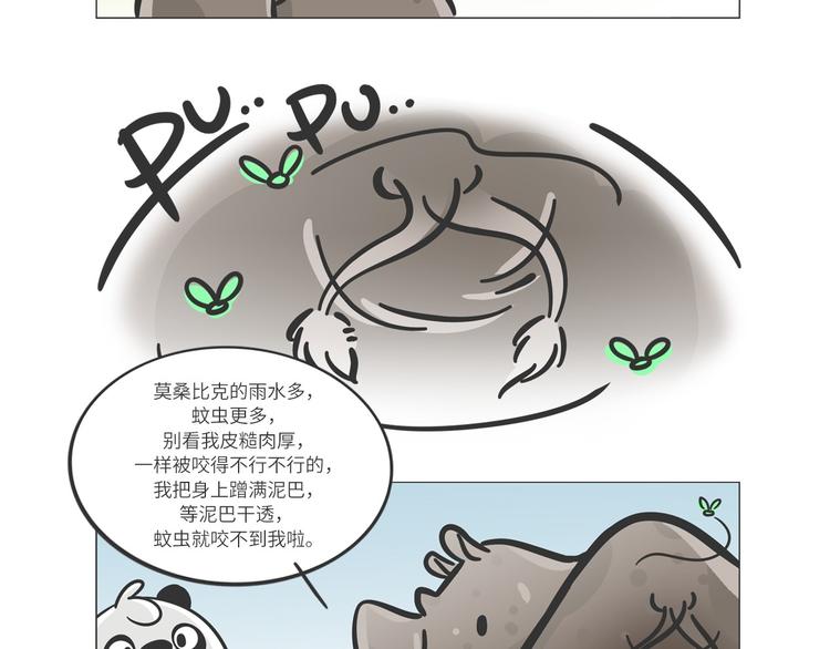 熊猫君录播漫画,非洲“推土机”格罗拉1图