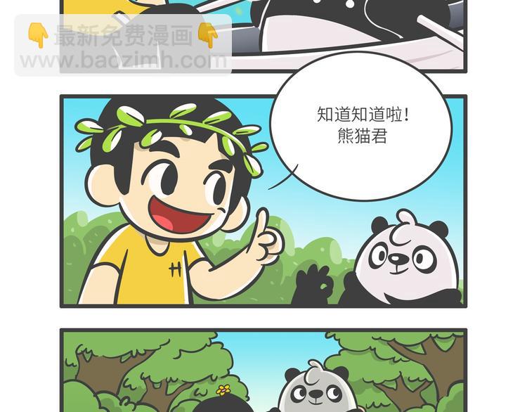 熊猫君和红领巾的复盘漫画,“武林高手”天堂鸟1图