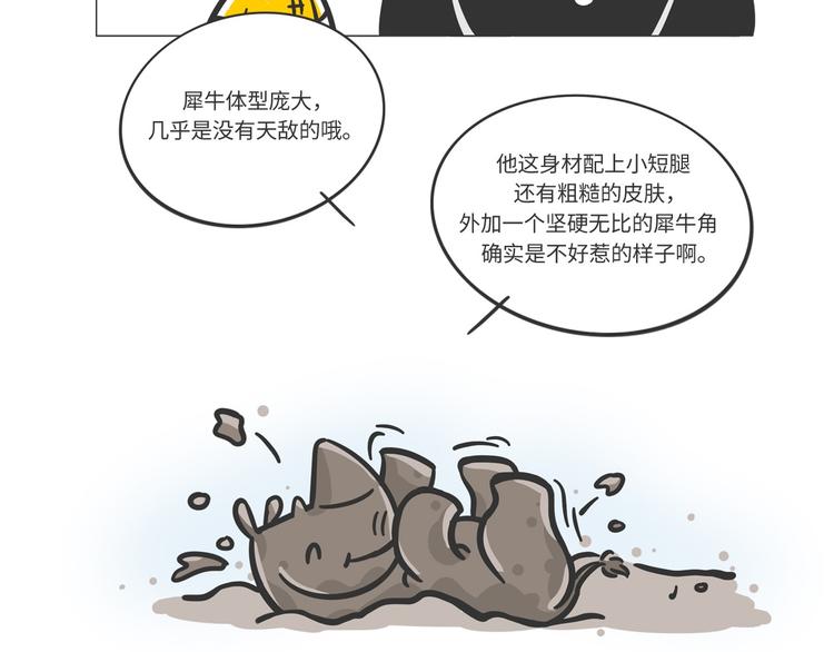 熊猫君录播漫画,非洲“推土机”格罗拉1图