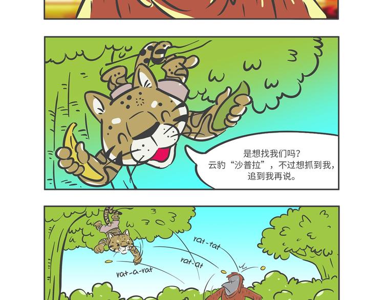 熊猫君视频合集漫画,“强者对决”云豹沙普拉1图