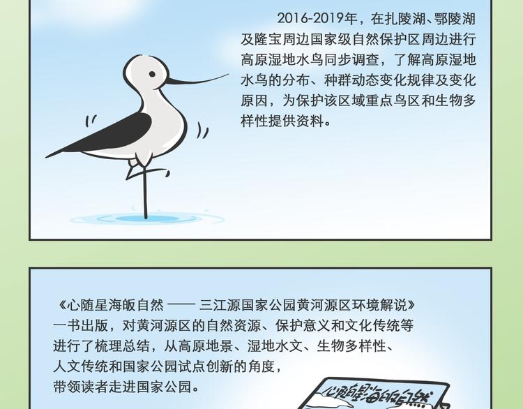 熊猫君录播漫画,科普番外——WWF在三江源1图