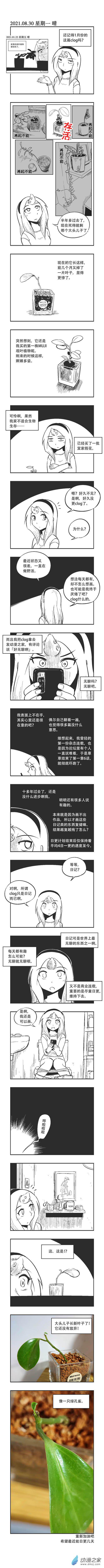 乌贼鱿鱼刺身漫画,0092 死与新生1图