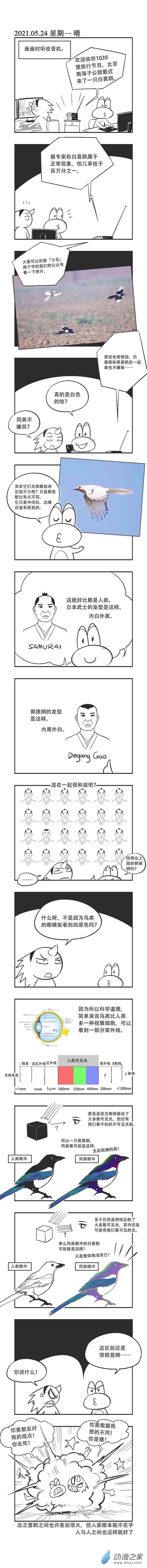 乌贼ichabod日更计划漫画,0071 白喜鹊1图