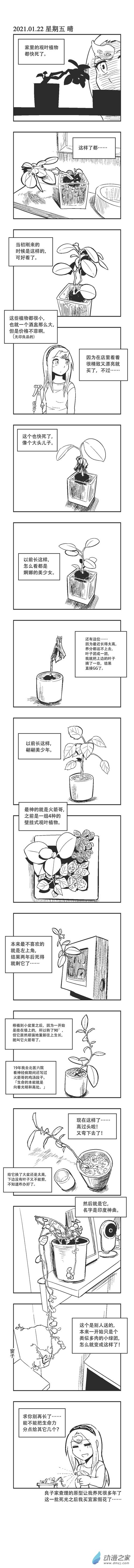 乌贼ichabod日更计划漫画,0017 观叶植物1图