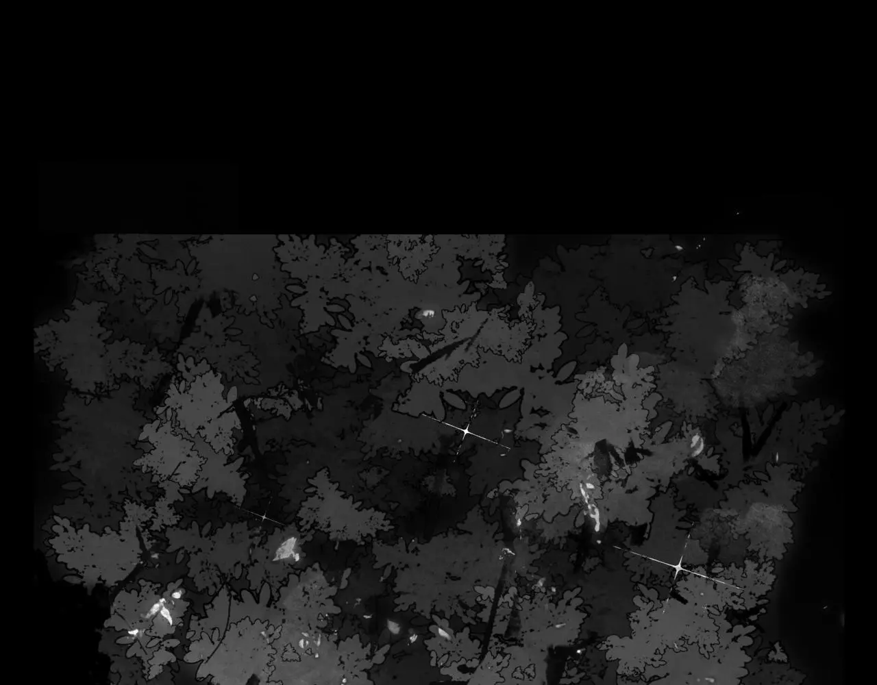 涟水机场漫画,安知我意1图
