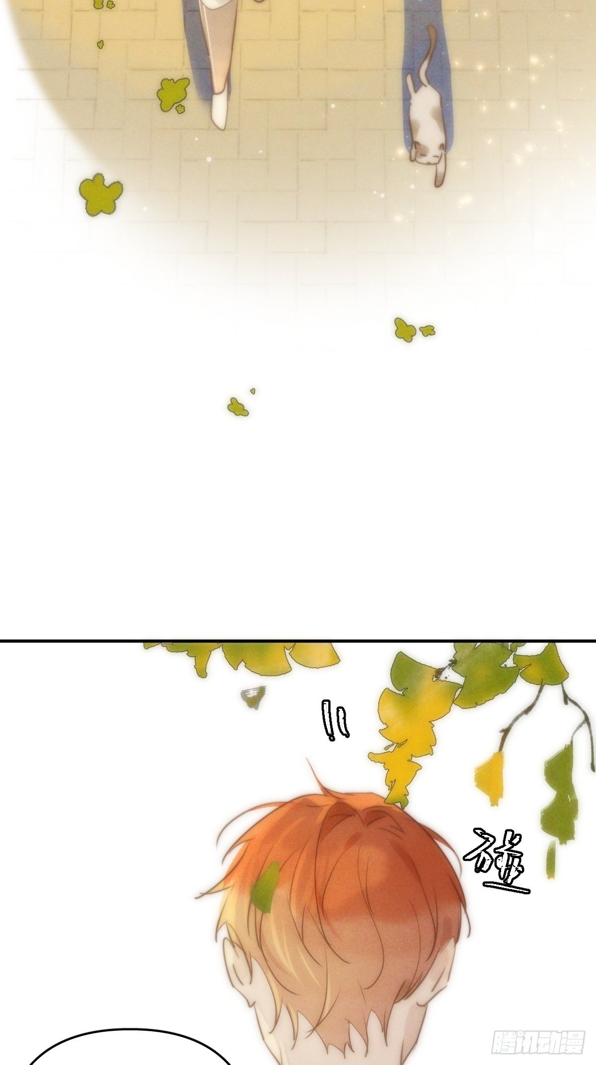 繁星告诉我漫画下拉式免费观看漫画,第23话 杏林村1图