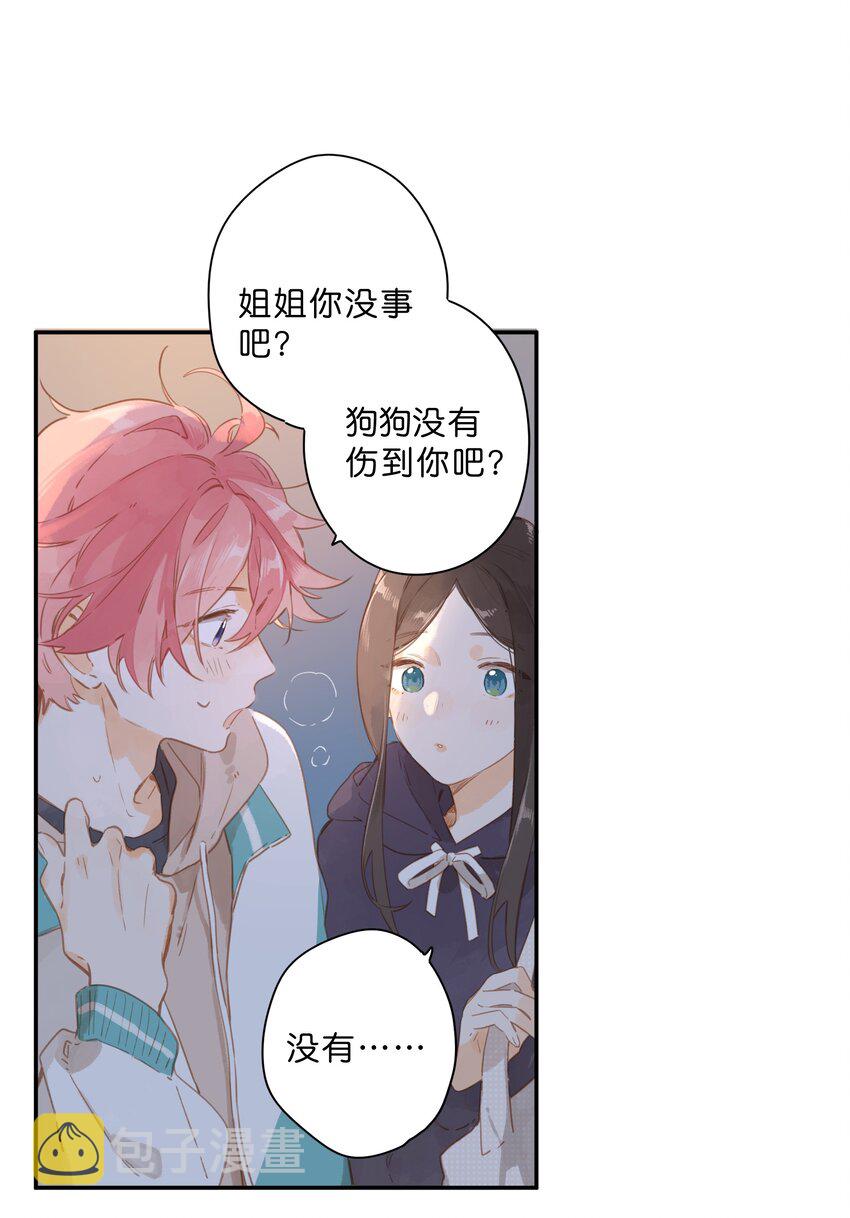 街角的向阳花屋漫画免费下拉式零点漫画漫画,第51话 撞上1图