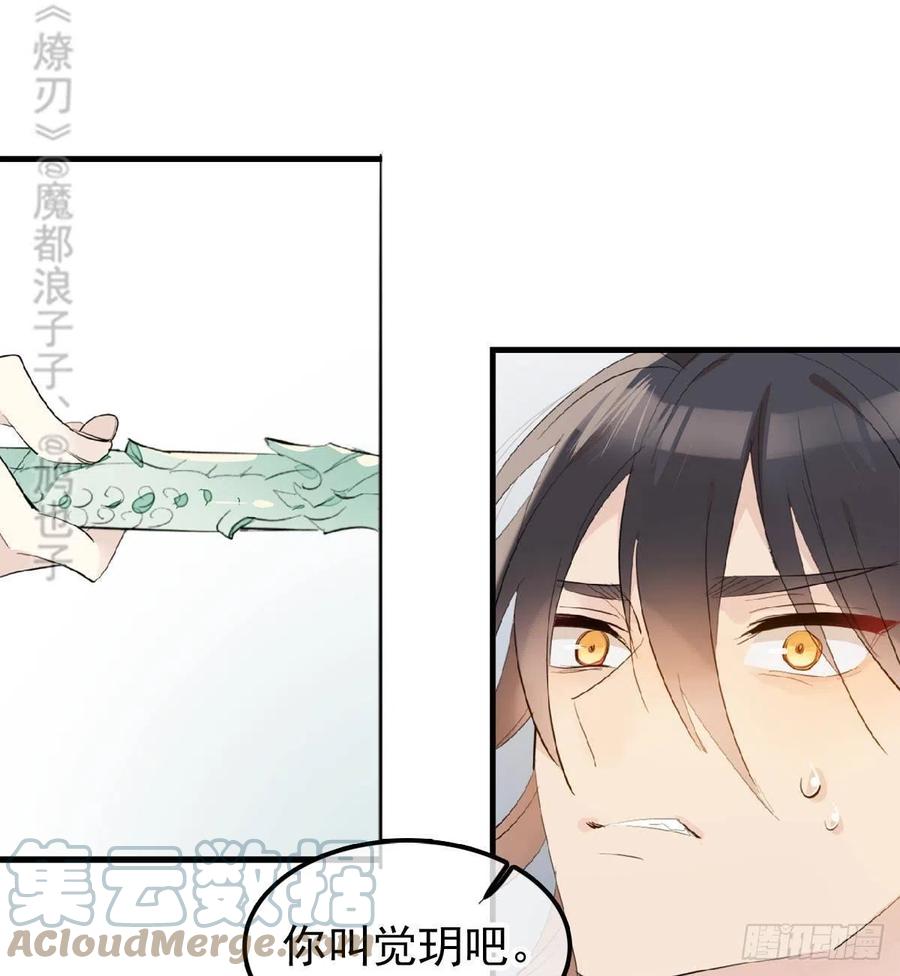 师父又在撩我(燎刃)免费阅读漫画,211 都是你的错1图