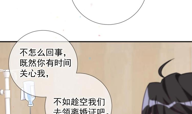 影帝他要闹离婚漫画在线免费观看漫画,第10话 离婚成了！1图