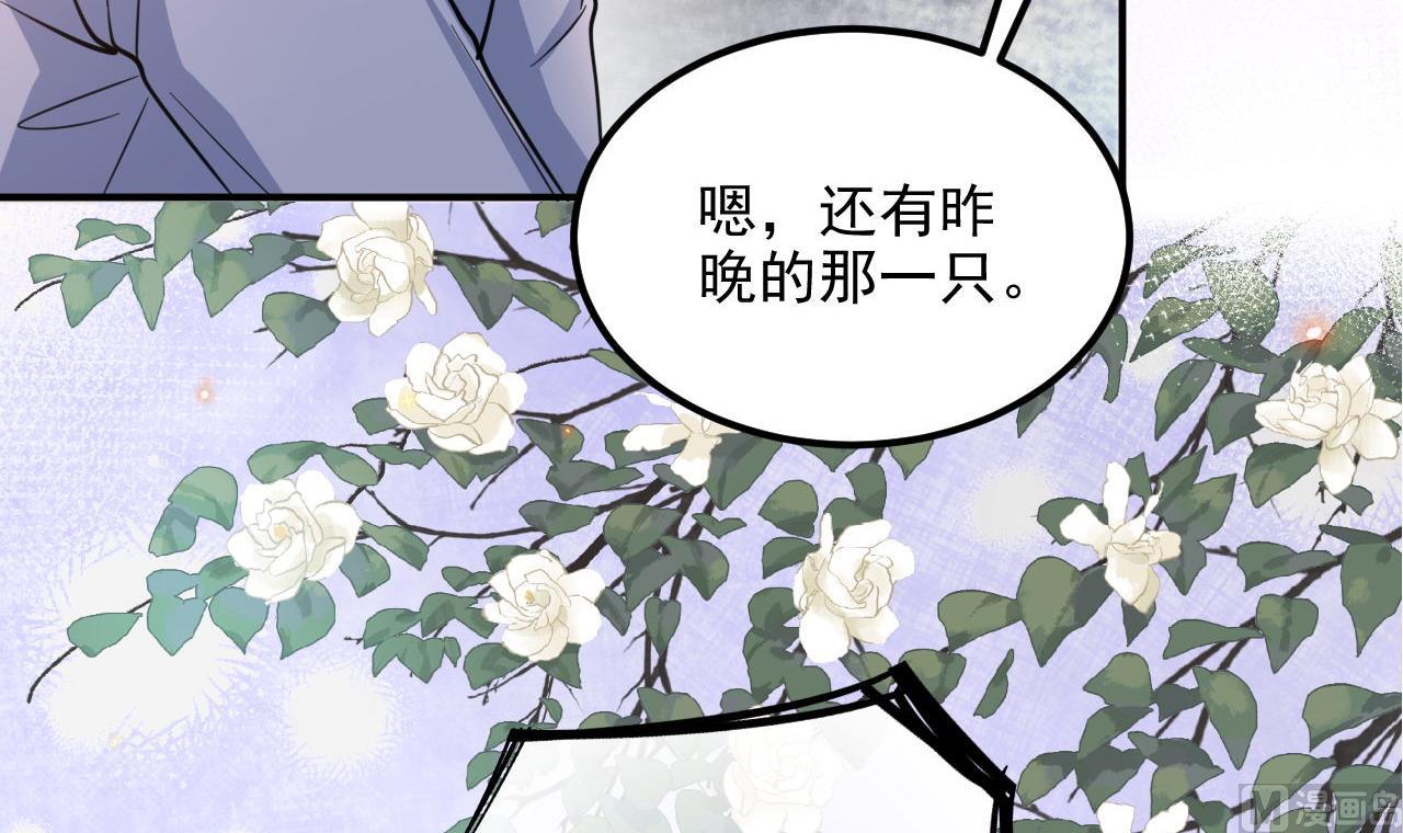 影帝他要闹离婚漫画在线免费观看漫画,第87话 顾清让，追上去2图