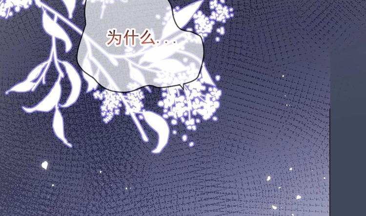 影帝他要闹离婚漫画在线免费观看漫画,第22话 做我的男主角2图