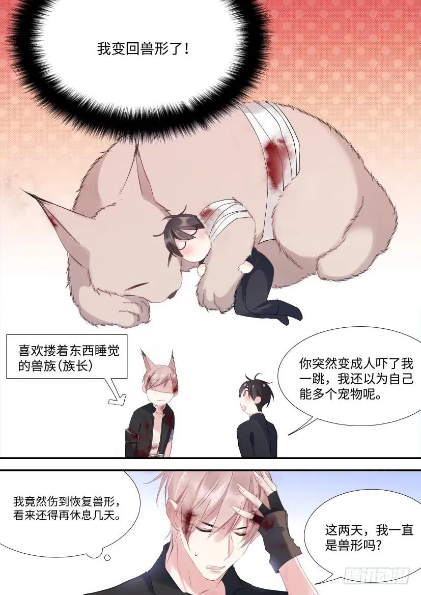 影帝x影帝漫画最新章节免费观看漫画,番外-兽人世界32图