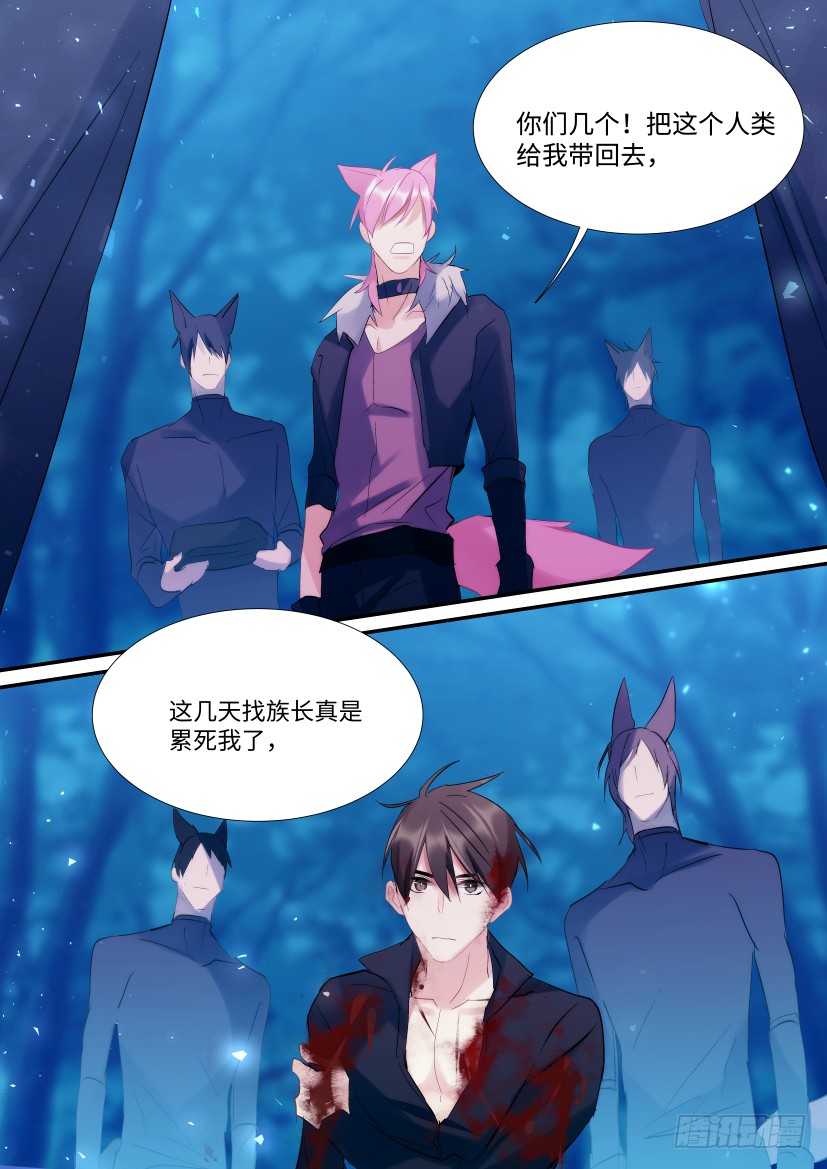 杨大侠有点意思漫画,番外-兽人世界71图