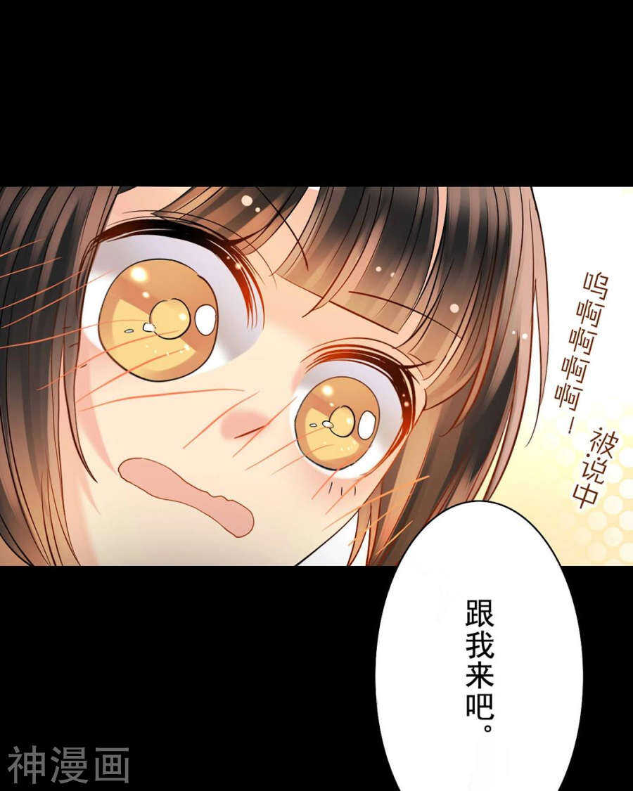 总裁向我求婚你哭什么短剧免费观看全集漫画,番外 一只小水母1图