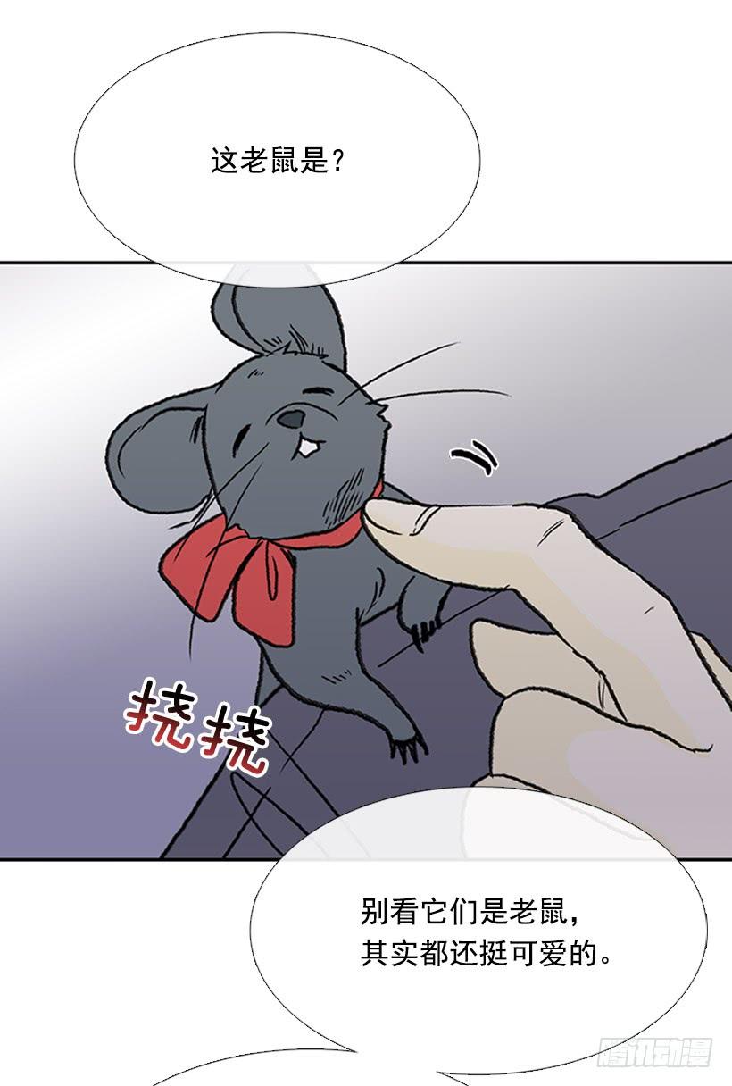 学士服颜色漫画,信使1图