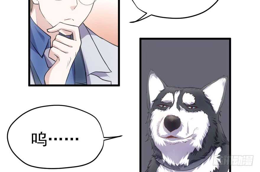 我才不是恶毒女配动漫漫画,“男神”哈哈。2图