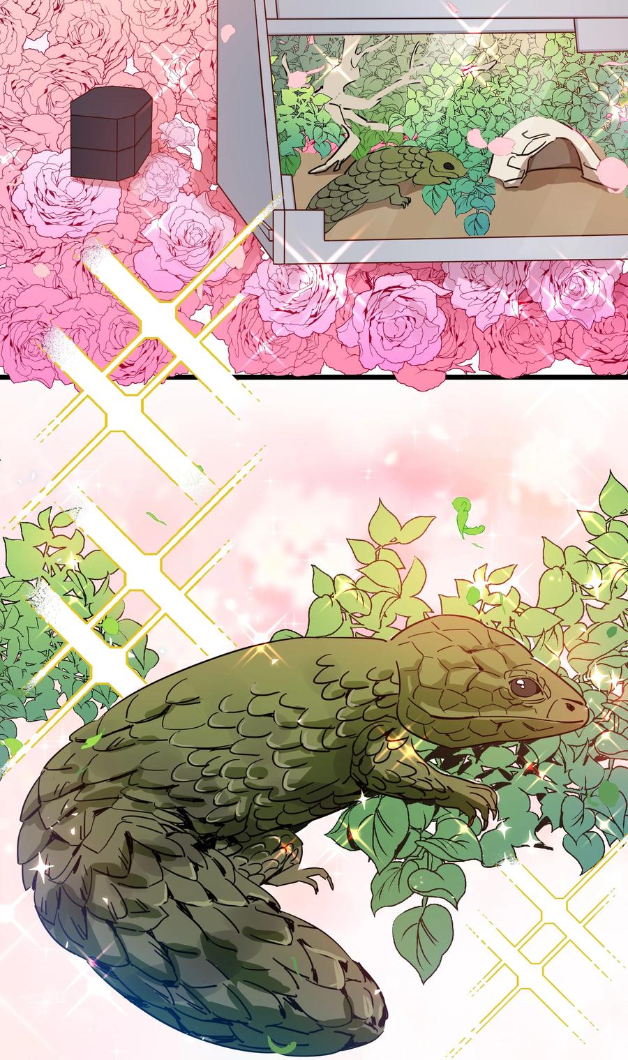 晚安精华漫画,043 爱的结晶！1图