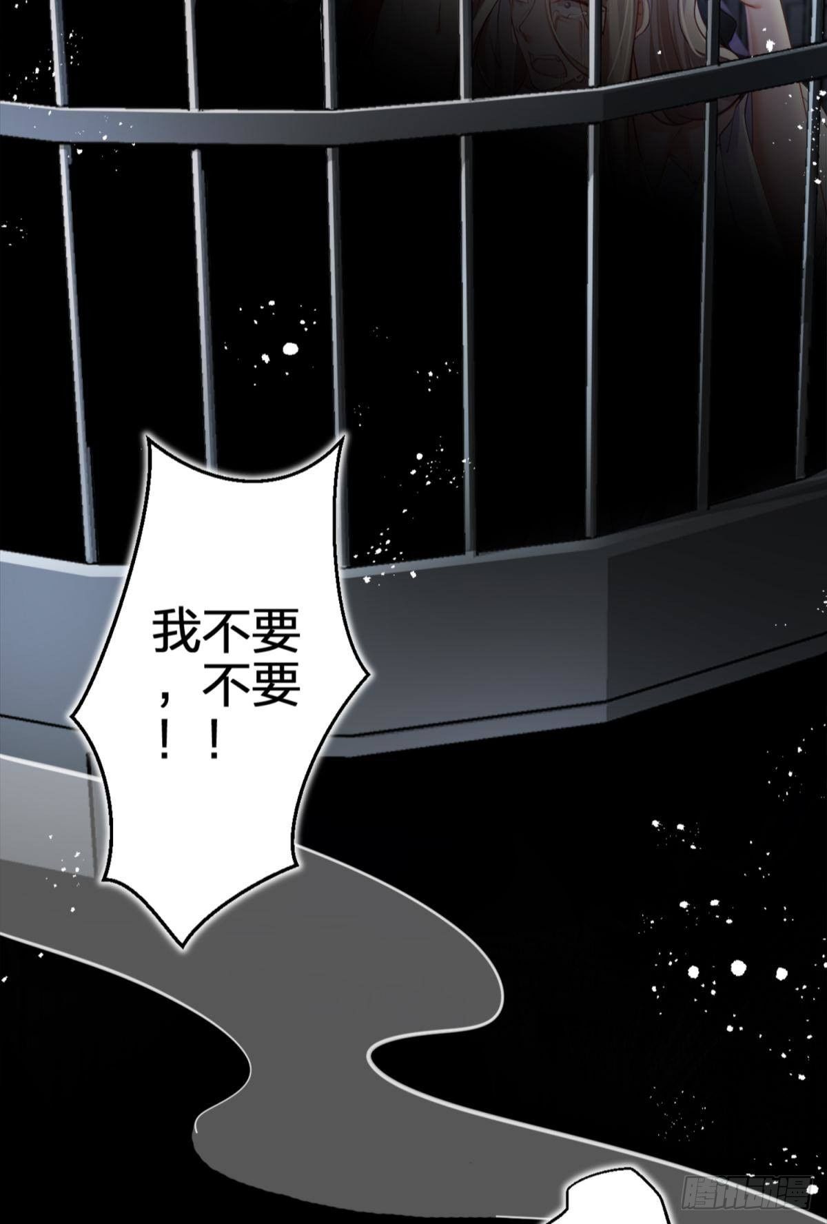 恶女为帝动漫合集漫画,笼中的金丝雀2图
