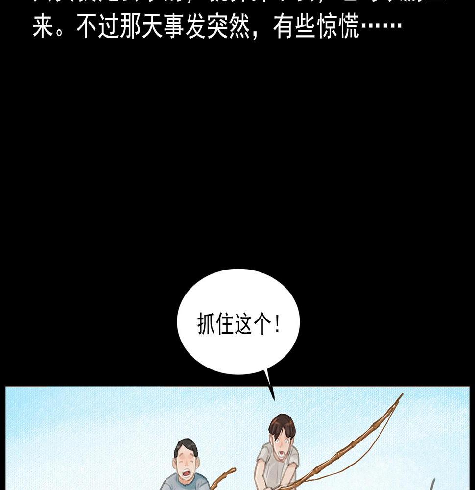 枪爷异闻录免费漫画,第413话 鸡粪2图