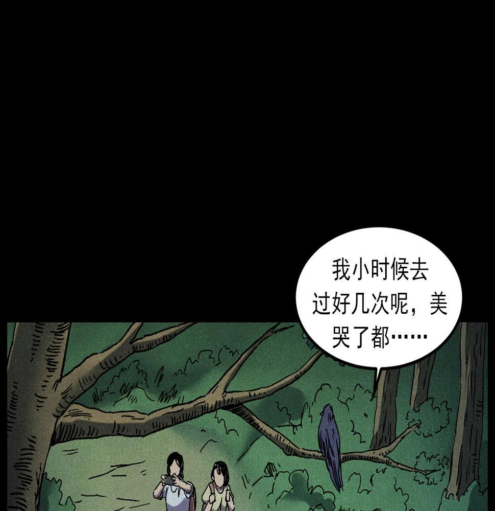 枪爷异闻录为什么下架漫画,第414话  诡村2图